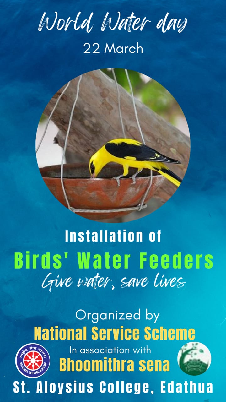 Installation of Birds’ Water Feeders: Give Water, Save Lives